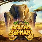 African Elephant screenshot